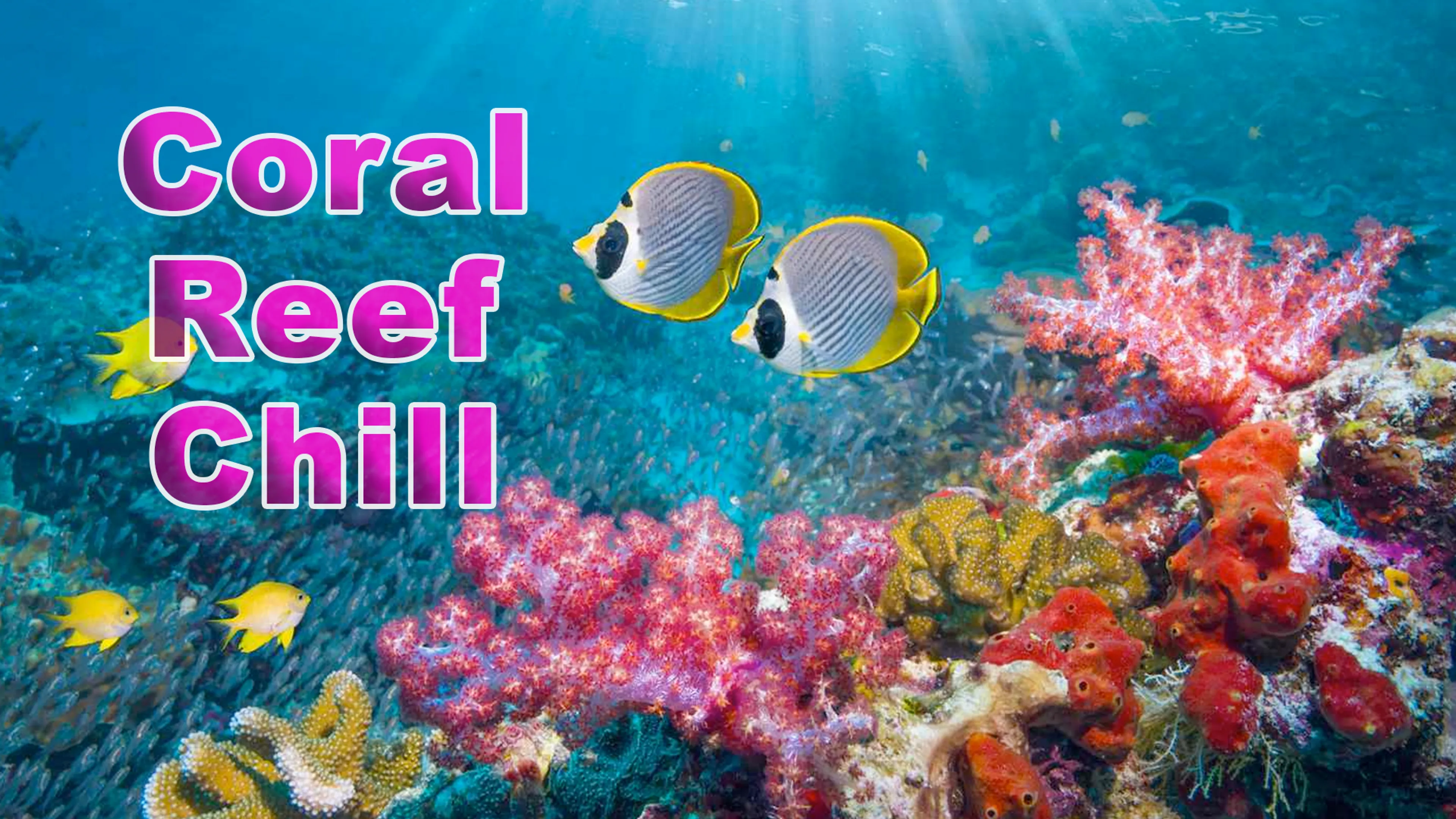 Coral Reef Chill poster